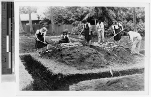 Maryknoll School juniors work in their garden, Punahou, Honolulu, Hawaii, 1942