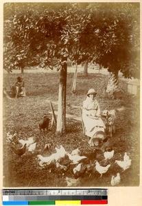 Taking care of the animals, Ghana, ca.1885-1895