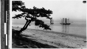 Japanese sailing ships on the water, Japan, ca. 1920-1940