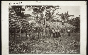 Pupils working on the building of dormitories for the Boys' Boarding School in Nyasoso (Cameroon)