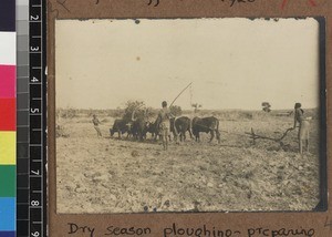 Agricultural workers in field, Kambole Mission, Zambia, ca. 1925