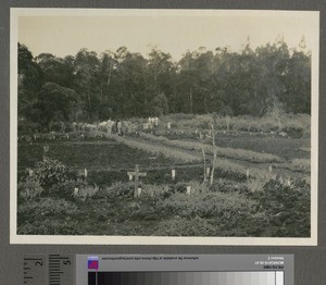 Native Cemetery, Kikuyu, Kenya, August 1926