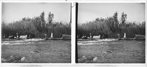 Dugouts of the missionaries Dieterlen and Brummer on a river, near rapids of Kalé