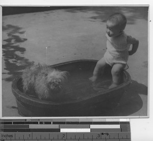 A baby in a bath tub at Wuzhou, China, 1947