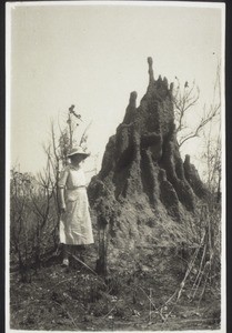 Termite mound. 1936