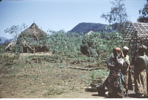 Church, Meiganga Road, Adamaoua, Cameroon, 1953-1968