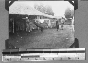 A patient is taken to the hospital in a hammock, Mwakaleli, Tanzania, 1929