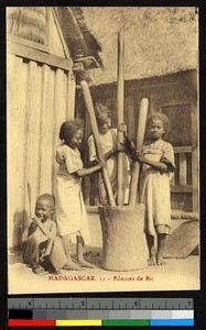 Girls pounding rice in a mortar, Madagascar, ca.1920-1940