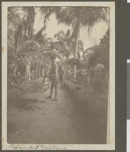 British officers in the Botanical Gardens, Durban, South Africa, July 1917