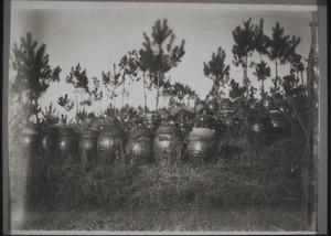 Golden jars near Kutschuk