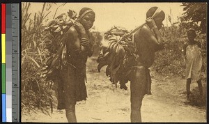 Tranporting bananas, Ituri, Congo, ca.1920-1940
