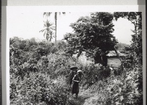 Returning from the bush after several hours of hard work