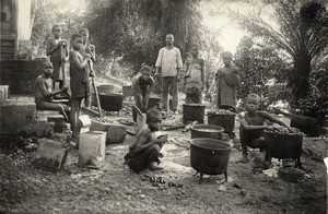 Making of palm oil, in Gabon