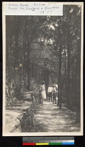 Path among pine trees at Kuling resort, Jiangsu, China, ca.1910-1930