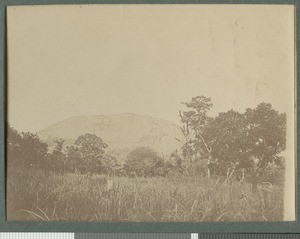 Landscape, Cabo Delgado, Mozambique, Jan-March 1918