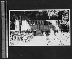 Insectary and plants at Fukien Christian University, Fuzhou, Fujian, China, ca.1937