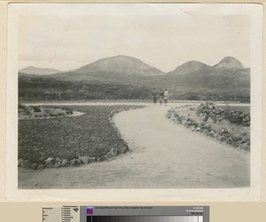 A road leading from the Children's Mission, Mihecani, Mozambique, ca.1925