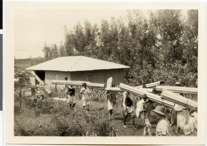Transport of corrugated iron sheets, Ethiopia, 1954