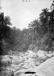 Rocky stream bed, Tanzania, ca.1893-1920