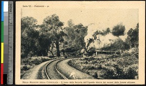 A train in the forest, Uganda, ca.1920-1940