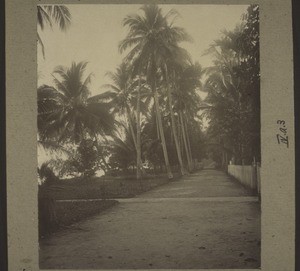 Street in front of the mission house in Kwala Kapuas (1924)