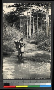 Person carrying bucket and basket down a forest path, Congo, ca.1920-1940