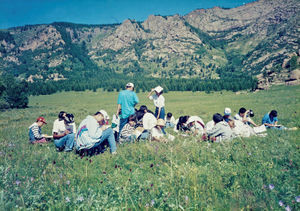 Environmental class in Mongolia - classification of flowers and plants