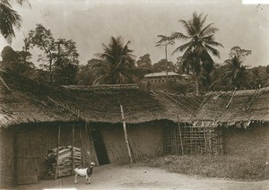 Huts, in Cameroon