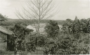 Wouri river, in Cameroon