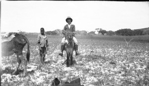 Swiss missionary on a donkey, southern Africa