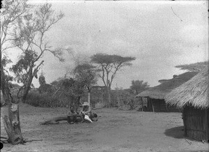 Village scene, Mozambique, October 1901