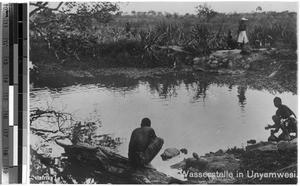 Watering place, Unaymwezi, Tanzania