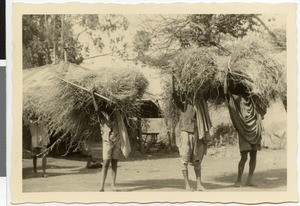 Carrying grass, Ayra, Ethiopia, ca.1951-1952