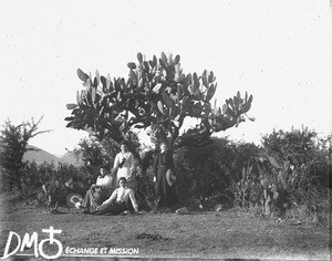 Female missionaries in front of a cactus, Pretoria, South Africa, ca. 1896-1911