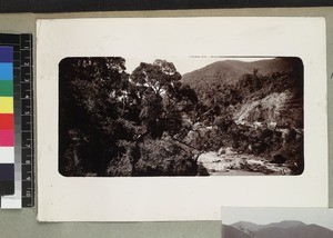 View of river and road through forest, Mandraka, Madagascar, ca. 1910