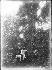 Forest near Shilouvane, South Africa, ca. 1901-1907