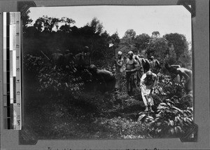 Plantation workers, Kyimbila, Tanzania, ca.1898-1914