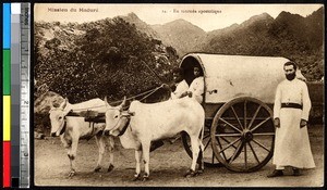 Young men driving a wagon with a missionary, Madura, India, ca.1920-1940