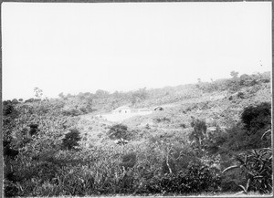 An Italian's house, Marangu, Tanzania, ca.1901-1910