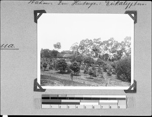 View of Red Cross station, Mbozi, Tanzania, 1935