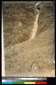 Corn growing in the mountains, Sichuan, China, ca.1897-1898