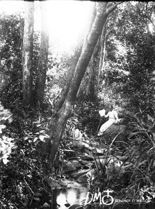 Miss Jacot at Klein Letaba River, Lemana, South Africa, ca. 1906-1915