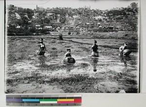 Women fishing in Lac Anosy, Antananarivo, Madagascar, ca.1890