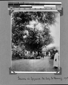 Group of Africans on Ipyana road, Ipanya, Tanzania, 1905-1906