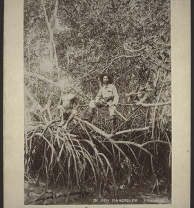 Among the mangroves of Cameroon. The white man is a Government official