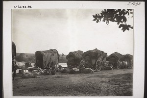 Mit Kaffeesäcken beladene Ochsenwagen am Gurpur-Fluss b. Mangalur