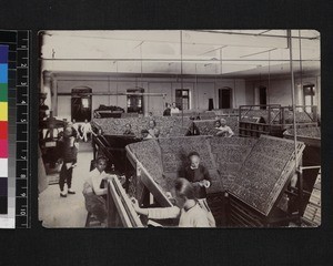 Chinese type setting in print room, China, ca. 1900