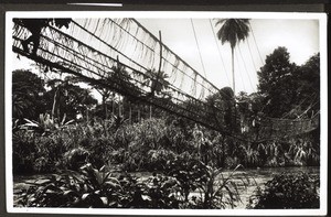 Hängebrücke b. Fotabe