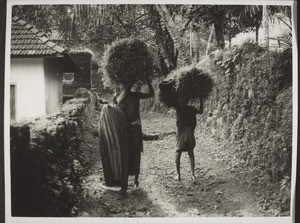 Women carrying grass