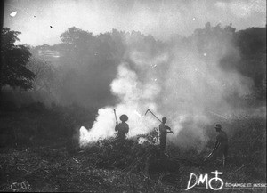 Students from Lemana Training Institution clearing a plot of land, Lemana, South Africa, ca. 1906-1915